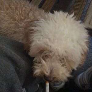 Meet your Posher, Jack